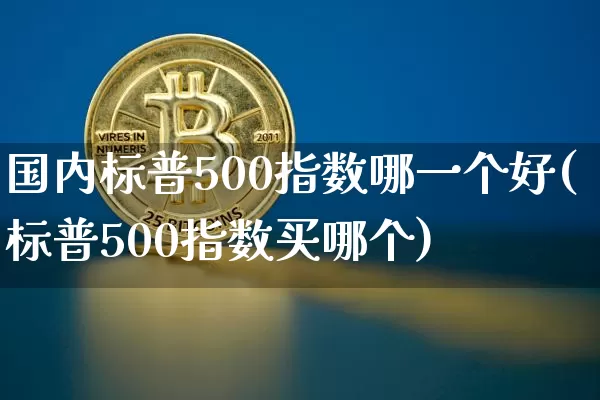 国内标普500指数哪一个好(标普500指数买哪个)_https://www.cangshenghg.com_北交所_第1张