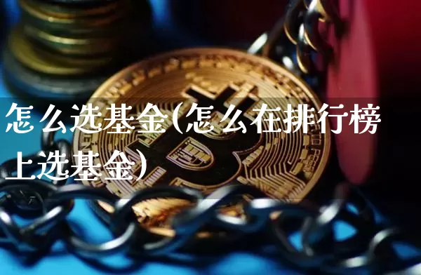 怎么选基金(怎么在排行榜上选基金)_https://www.cangshenghg.com_北交所_第1张
