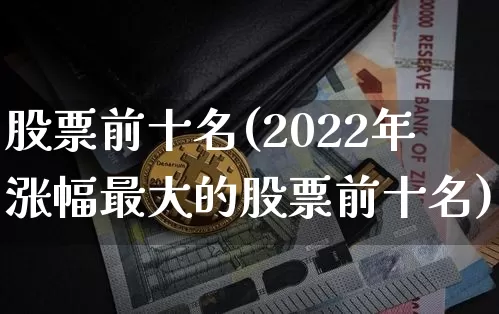 股票前十名(2022年涨幅最大的股票前十名)_https://www.cangshenghg.com_创业板_第1张