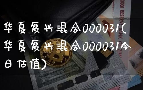 华夏复兴混合000031(华夏复兴混合000031今日估值)_https://www.cangshenghg.com_北交所_第1张