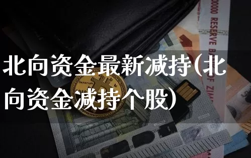 北向资金最新减持(北向资金减持个股)_https://www.cangshenghg.com_创业板_第1张