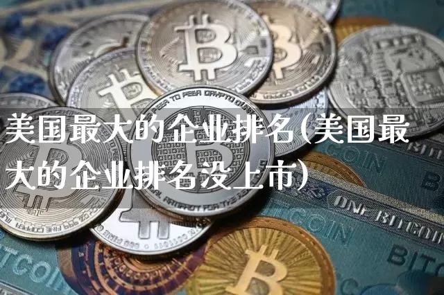 美国最大的企业排名(美国最大的企业排名没上市)_https://www.cangshenghg.com_科创板_第1张
