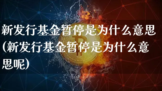 新发行基金暂停是为什么意思(新发行基金暂停是为什么意思呢)_https://www.cangshenghg.com_创业板_第1张