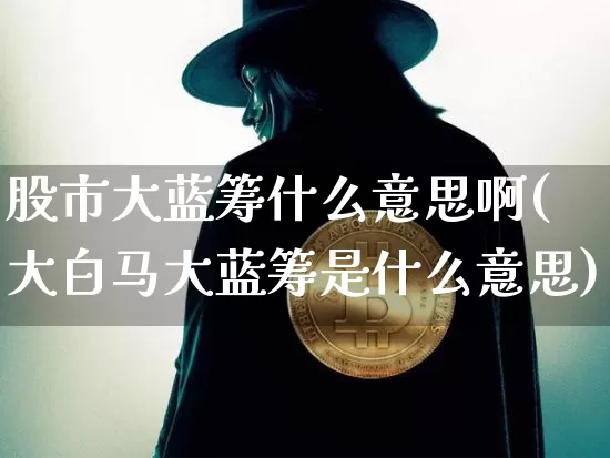 股市大蓝筹什么意思啊(大白马大蓝筹是什么意思)_https://www.cangshenghg.com_北交所_第1张