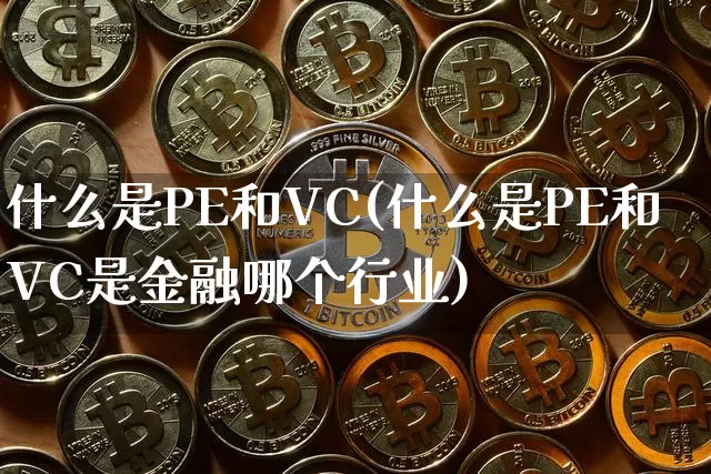 什么是PE和VC(什么是PE和VC是金融哪个行业)_https://www.cangshenghg.com_科创板_第1张
