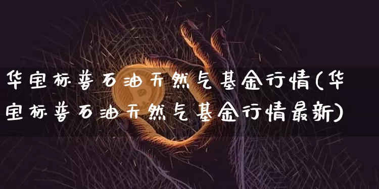 华宝标普石油天然气基金行情(华宝标普石油天然气基金行情最新)_https://www.cangshenghg.com_创业板_第1张