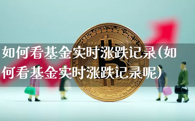 如何看基金实时涨跌记录(如何看基金实时涨跌记录呢)_https://www.cangshenghg.com_北交所_第1张