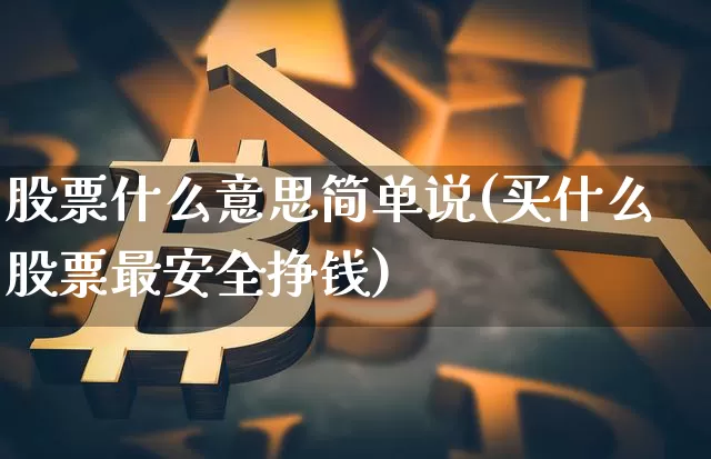 股票什么意思简单说(买什么股票最安全挣钱)_https://www.cangshenghg.com_创业板_第1张