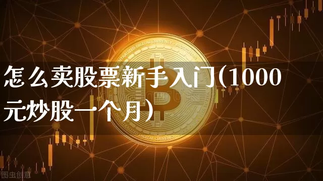 怎么卖股票新手入门(1000元炒股一个月)_https://www.cangshenghg.com_A股_第1张