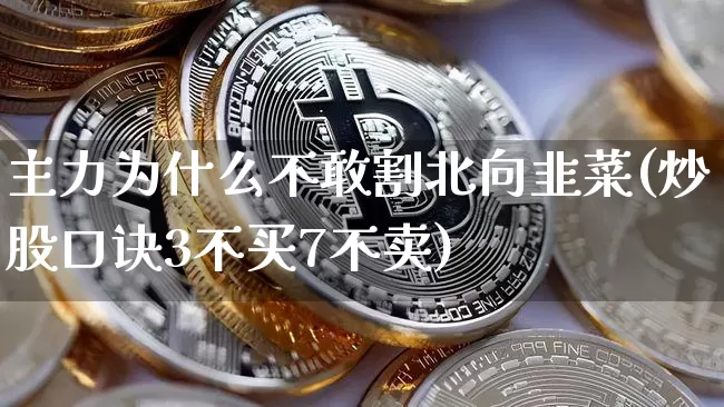 主力为什么不敢割北向韭菜(炒股口诀3不买7不卖)_https://www.cangshenghg.com_创业板_第1张