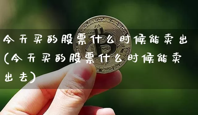 今天买的股票什么时候能卖出(今天买的股票什么时候能卖出去)_https://www.cangshenghg.com_创业板_第1张