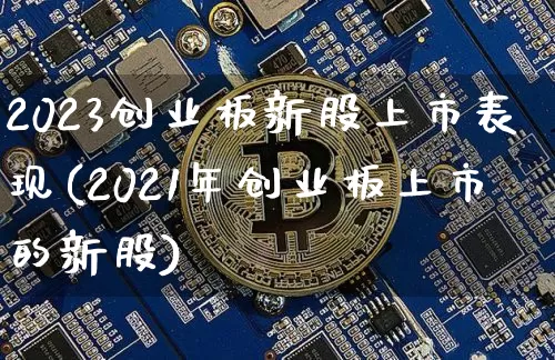 2023创业板新股上市表现(2021年创业板上市的新股)_https://www.cangshenghg.com_A股_第1张