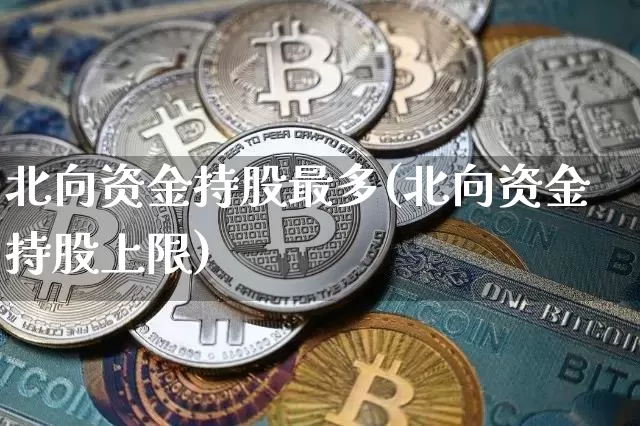 北向资金持股最多(北向资金持股上限)_https://www.cangshenghg.com_北交所_第1张