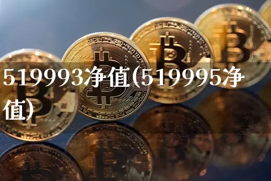 519993净值(519995净值)_https://www.cangshenghg.com_科创板_第1张