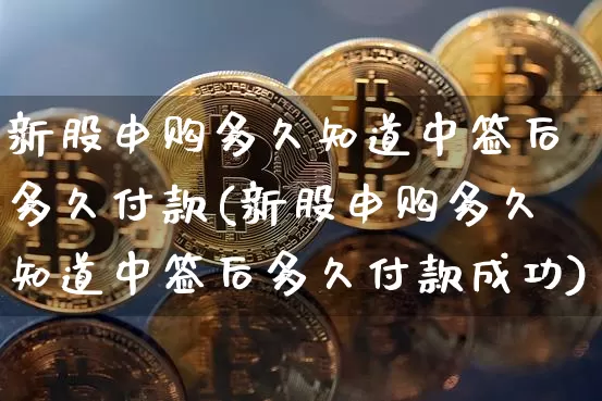 新股申购多久知道中签后多久付款(新股申购多久知道中签后多久付款成功)_https://www.cangshenghg.com_创业板_第1张