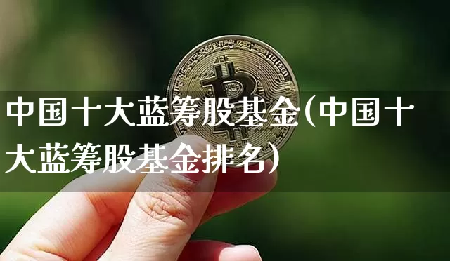 中国十大蓝筹股基金(中国十大蓝筹股基金排名)_https://www.cangshenghg.com_科创板_第1张