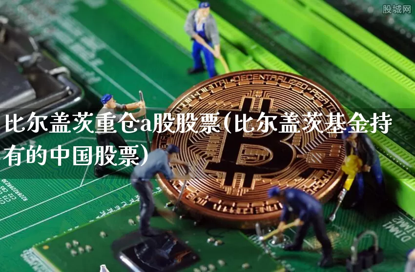 比尔盖茨重仓a股股票(比尔盖茨基金持有的中国股票)_https://www.cangshenghg.com_财经新闻_第1张