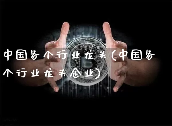 中国各个行业龙头(中国各个行业龙头企业)_https://www.cangshenghg.com_北交所_第1张