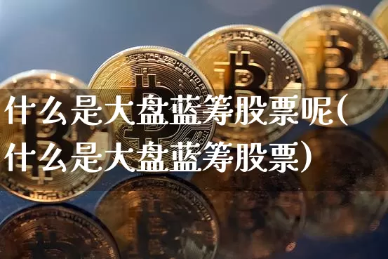 什么是大盘蓝筹股票呢(什么是大盘蓝筹股票)_https://www.cangshenghg.com_北交所_第1张