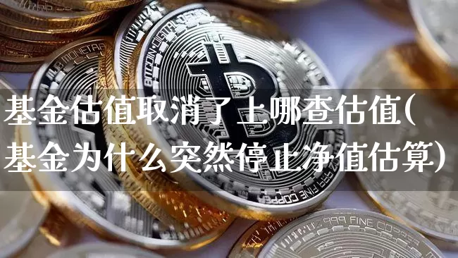 基金估值取消了上哪查估值(基金为什么突然停止净值估算)_https://www.cangshenghg.com_北交所_第1张