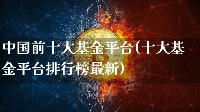 中国前十大基金平台(十大基金平台排行榜最新)_https://www.cangshenghg.com_科创板_第1张