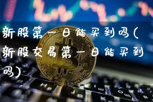 新股第一日能买到吗(新股交易第一日能买到吗)_https://www.cangshenghg.com_A股_第1张