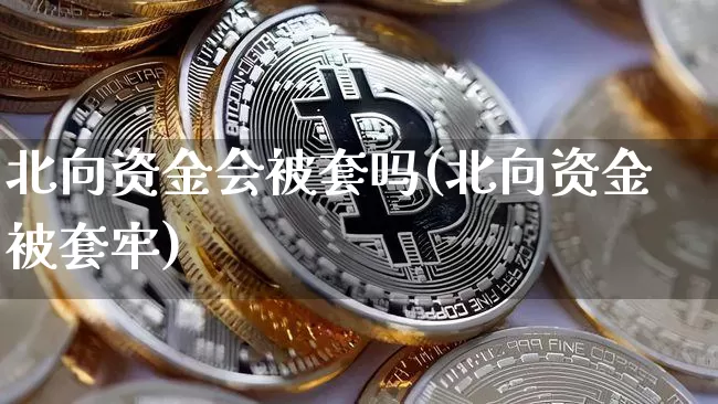 北向资金会被套吗(北向资金被套牢)_https://www.cangshenghg.com_创业板_第1张