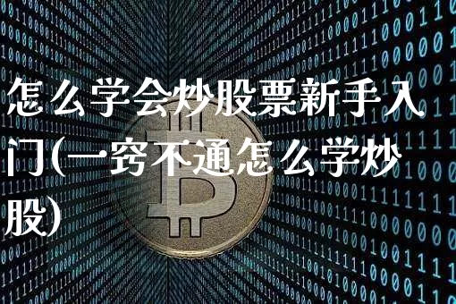 怎么学会炒股票新手入门(一窍不通怎么学炒股)_https://www.cangshenghg.com_科创板_第1张