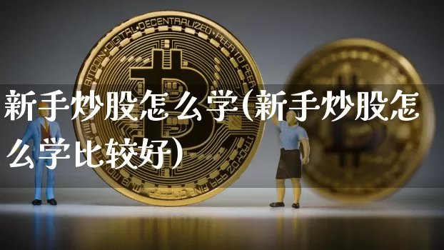 新手炒股怎么学(新手炒股怎么学比较好)_https://www.cangshenghg.com_财经新闻_第1张