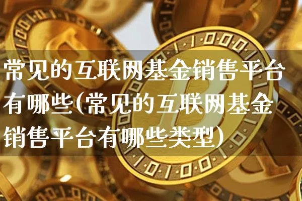 常见的互联网基金销售平台有哪些(常见的互联网基金销售平台有哪些类型)_https://www.cangshenghg.com_北交所_第1张