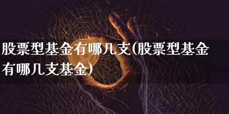 股票型基金有哪几支(股票型基金有哪几支基金)_https://www.cangshenghg.com_北交所_第1张