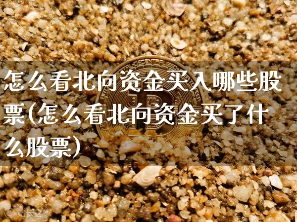 怎么看北向资金买入哪些股票(怎么看北向资金买了什么股票)_https://www.cangshenghg.com_财经新闻_第1张