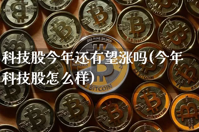 科技股今年还有望涨吗(今年科技股怎么样)_https://www.cangshenghg.com_北交所_第1张