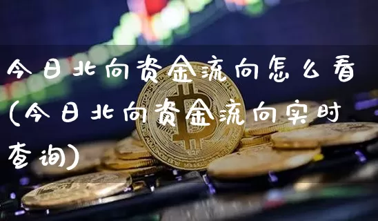 今日北向资金流向怎么看(今日北向资金流向实时查询)_https://www.cangshenghg.com_财经新闻_第1张