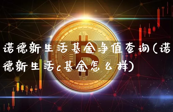 诺德新生活基金净值查询(诺德新生活c基金怎么样)_https://www.cangshenghg.com_A股_第1张