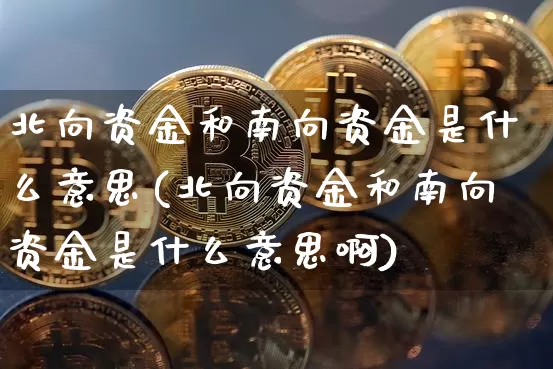北向资金和南向资金是什么意思(北向资金和南向资金是什么意思啊)_https://www.cangshenghg.com_创业板_第1张