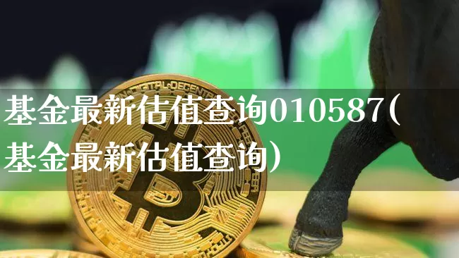 基金最新估值查询010587(基金最新估值查询)_https://www.cangshenghg.com_北交所_第1张