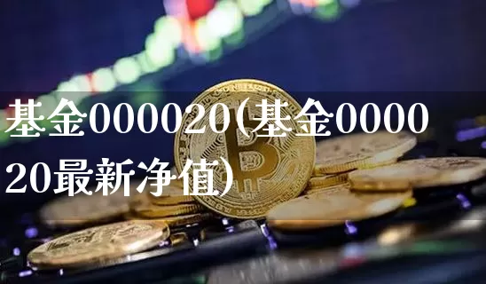 基金000020(基金000020最新净值)_https://www.cangshenghg.com_财经新闻_第1张