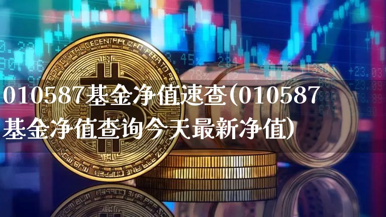 010587基金净值速查(010587基金净值查询今天最新净值)_https://www.cangshenghg.com_北交所_第1张