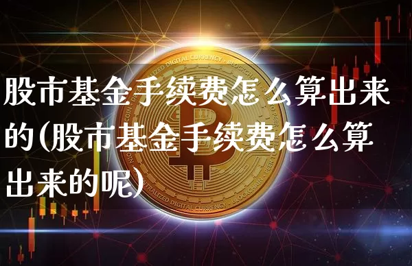股市基金手续费怎么算出来的(股市基金手续费怎么算出来的呢)_https://www.cangshenghg.com_科创板_第1张