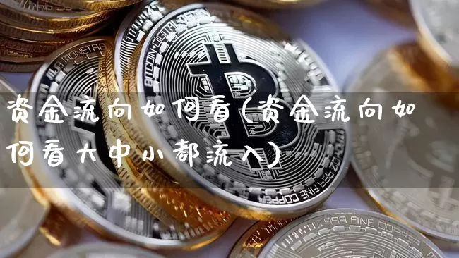 资金流向如何看(资金流向如何看大中小都流入)_https://www.cangshenghg.com_北交所_第1张