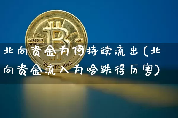北向资金为何持续流出(北向资金流入为啥跌得厉害)_https://www.cangshenghg.com_科创板_第1张