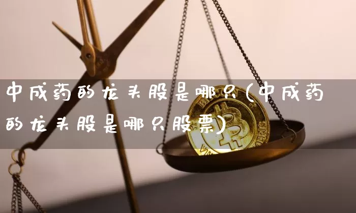 中成药的龙头股是哪只(中成药的龙头股是哪只股票)_https://www.cangshenghg.com_北交所_第1张