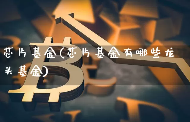 芯片基金(芯片基金有哪些龙头基金)_https://www.cangshenghg.com_北交所_第1张