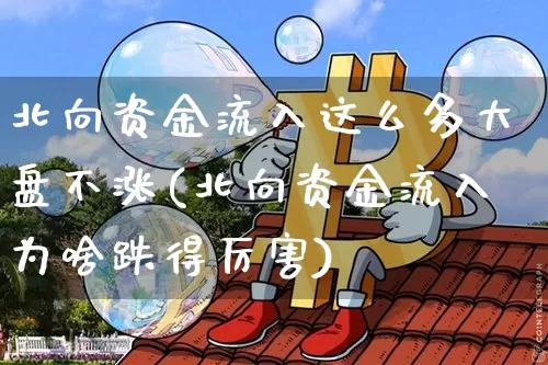 北向资金流入这么多大盘不涨(北向资金流入为啥跌得厉害)_https://www.cangshenghg.com_北交所_第1张