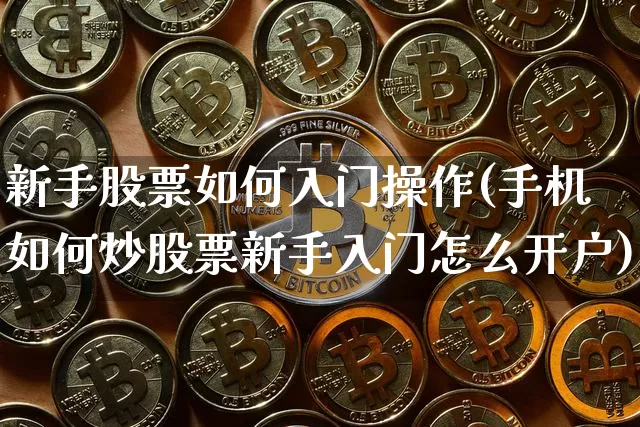 新手股票如何入门操作(手机如何炒股票新手入门怎么开户)_https://www.cangshenghg.com_北交所_第1张