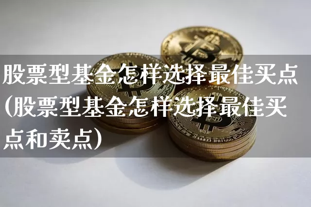 股票型基金怎样选择最佳买点(股票型基金怎样选择最佳买点和卖点)_https://www.cangshenghg.com_北交所_第1张