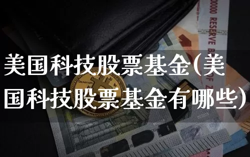美国科技股票基金(美国科技股票基金有哪些)_https://www.cangshenghg.com_北交所_第1张