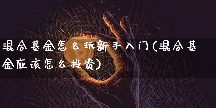 混合基金怎么玩新手入门(混合基金应该怎么投资)_https://www.cangshenghg.com_北交所_第1张