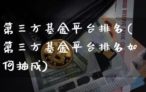 第三方基金平台排名(第三方基金平台排名如何抽成)_https://www.cangshenghg.com_科创板_第1张